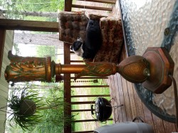 IMG_20220716_093329462