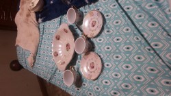 1599313296202-775051649